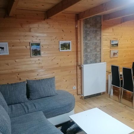 Zlatibor Brvnara Mir Villa Luaran gambar