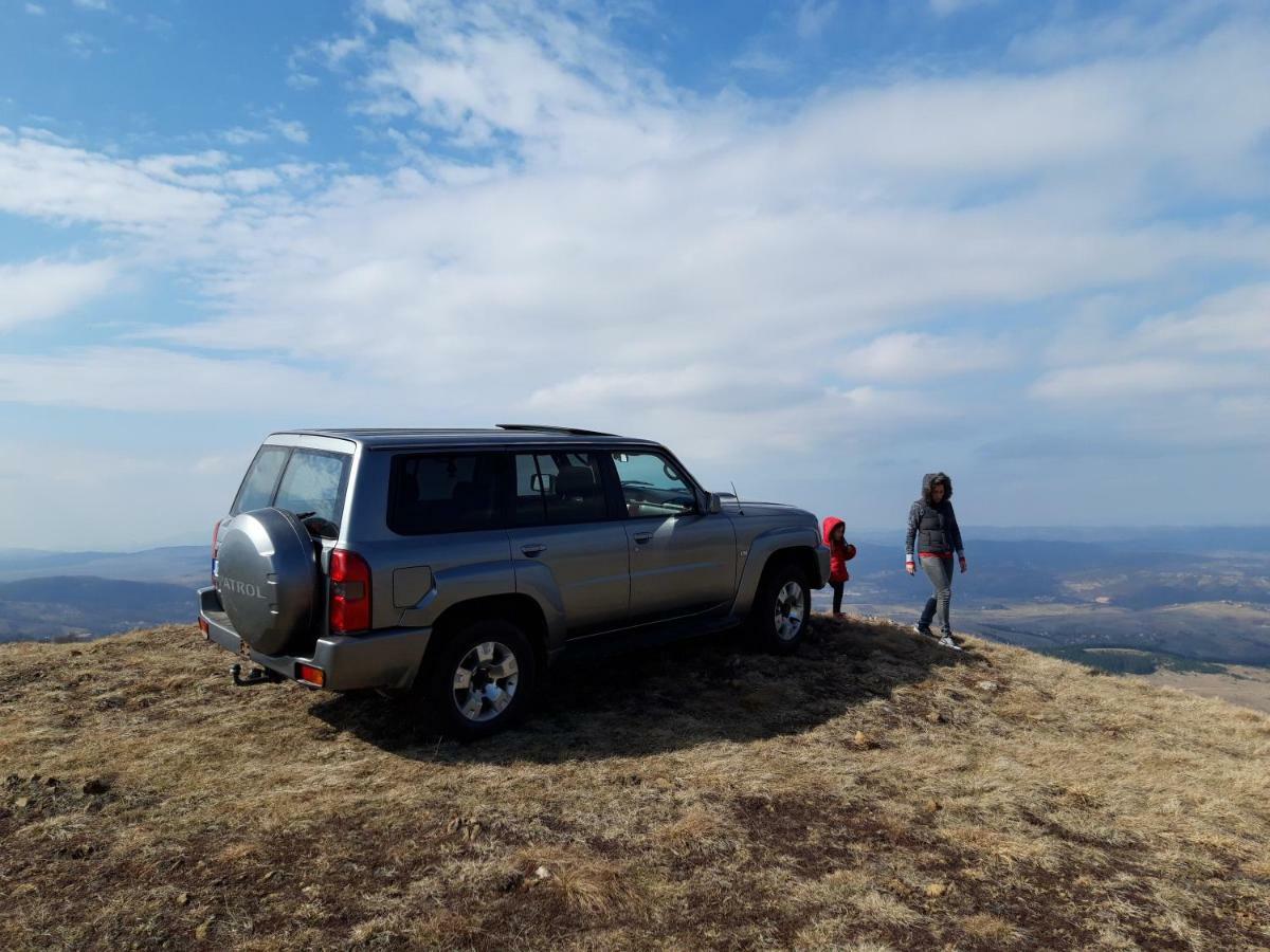 Zlatibor Brvnara Mir Villa Luaran gambar